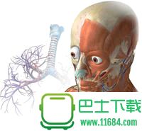 人体解剖学软件Visible Body下载-人体解剖学软件Visible Body v3.1.3 官网中文破解版下载v3.1.3