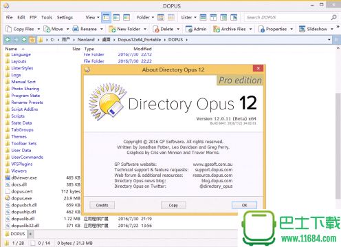 资源管理器Directory Opus 12 beta11 x64便携版下载