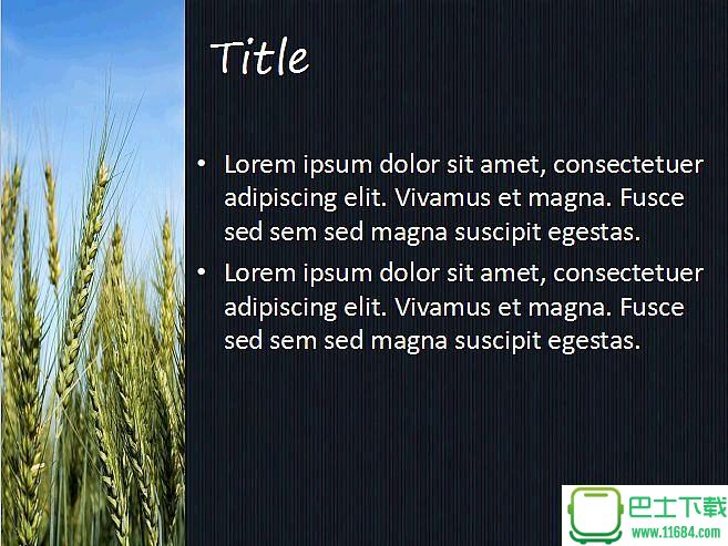 水稻小麦背景植物类幻灯片PPT模板下载
