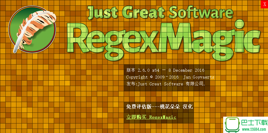 正则表达式学习工具RegexMagic 2.6 尝鲜汉化版下载