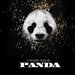 最新Panda全图破解提取版下载-最新Panda全图破解提取版(支持11+09平台)下载