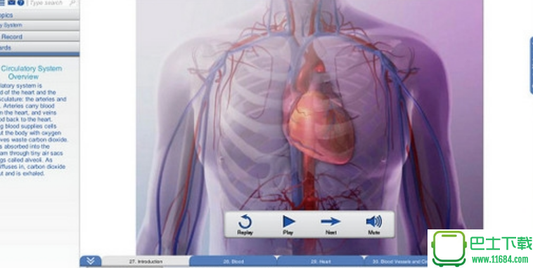 人体解剖软件visible body电脑版 v3.13 中文版下载