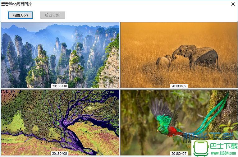 Bing Image(必应壁纸下载更新器) v1.0 免费版下载
