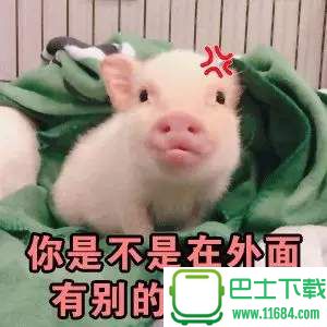 可爱的小猪QQ表情包 高清无水印下载