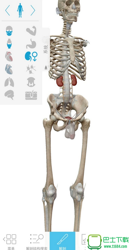 2018版人体解剖学图软件大师级Human Anatomy Atlas 4.44 安卓版下载