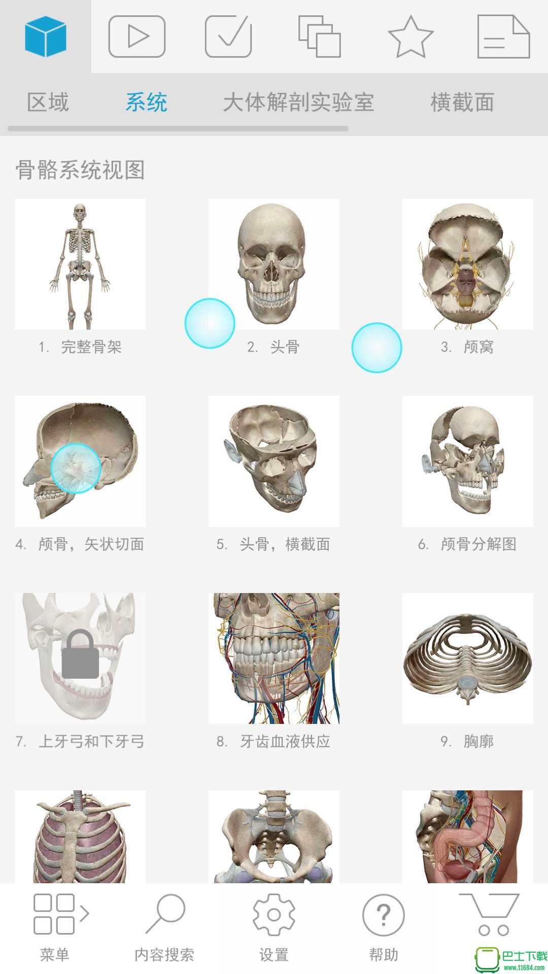 人体解剖学图谱:完整的三维人体专业解锁版Atlas 2018.5.47 安卓版（骁龙625测试可以跑）下载