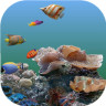 3D海底世界动态壁纸手机壁纸 v6.5 安卓版