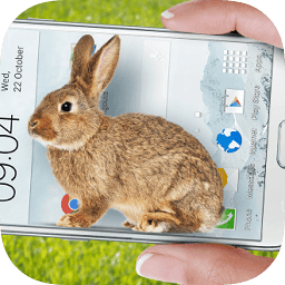 手机的小兔子玩笑软件 v1.2 安卓中文版下载
