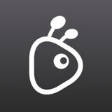 蚂蚁视频app  v2.0.4（Store） 安卓版下载