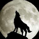黑狼影院 v1.1免费版 安卓版下载