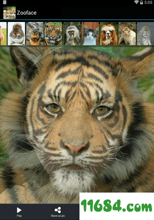 Zooface软件 v1.3.6 安卓版下载（暂未上线）
