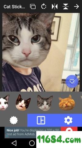 猫头贴纸app v1.0 安卓版下载（暂未上线）