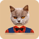 猫头贴纸app v1.0 安卓版