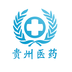 贵州医药 v1.1 安卓版下载