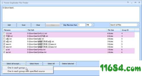 重复文件查询工具Puran Duplicate File Finder v2.0 英文绿色版下载