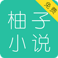 柚子小游戏盒子app