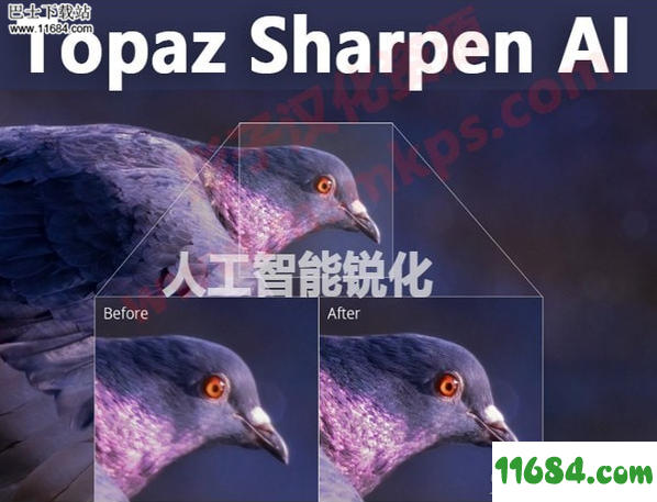 Topaz Sharpen AI下载-人工智能清晰锐化软件Topaz Sharpen AI v1.1.3 最新版下载