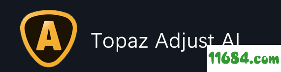 Topaz Adjust AI破解版下载-Topaz Adjust AI v1.0.0 破解版(附破解补丁)下载