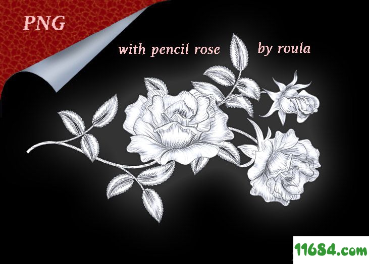 玫瑰花朵图案笔刷下载-玫瑰花朵图案PS笔刷素材下载