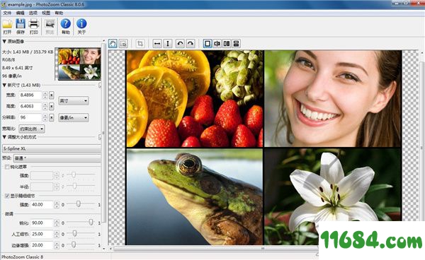 Benvista PhotoZoom Classic破解版下载-Benvista PhotoZoom Classic v8.0.6 中文绿色版下载