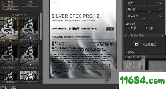 Silver Efex Pro滤镜下载-PS黑白胶片滤镜Silver Efex Pro v2.003 中文免费版下载