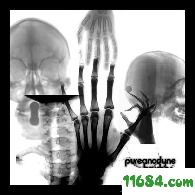 人体X光片透视笔刷下载-人体X光片效果、骨骼透视PS笔刷下载