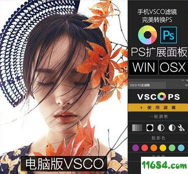 VSCO扩展面板PS插件 v1.0 最新免费版