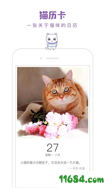 一日猫下载-一日猫app（精品猫咪平台）v2.4.7 安卓版下载
