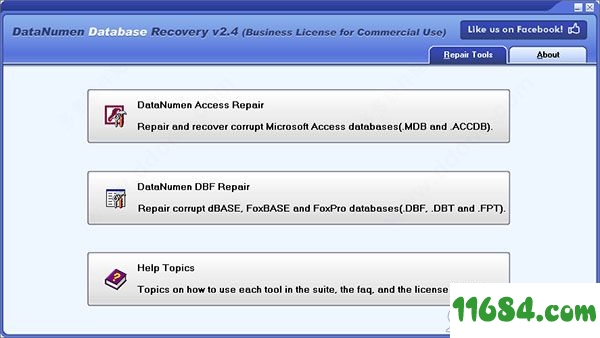 Database Recovery破解版下载-DataNumen Database Recovery v2.4.0.0 绿色中文版下载