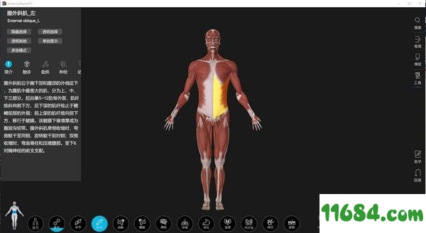 解剖大师电脑版下载-解剖大师 v1.0.0 电脑版下载