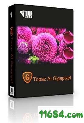 Topaz Gigapixel AI下载-人工智能图片调整Topaz Gigapixel AI v5.1.6 x64 便携版下载