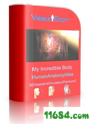 Visible Body套装便携版下载-稀缺医学软件Visible Body套装 v3.1.02 英文便携版下载