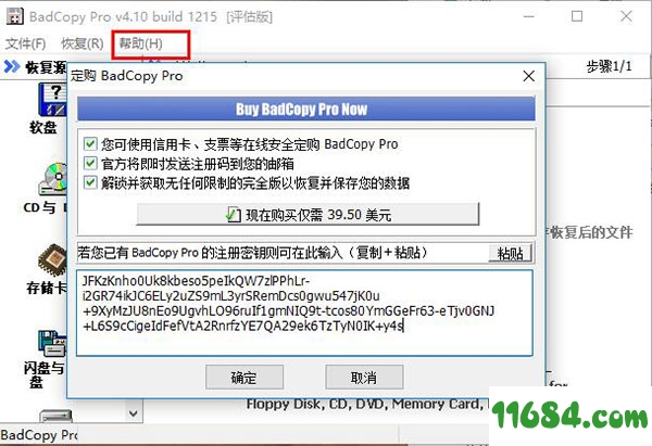 BadCopy pro破解版下载-简单数据恢复工具BadCopy pro v4.1 中文绿色破解版下载