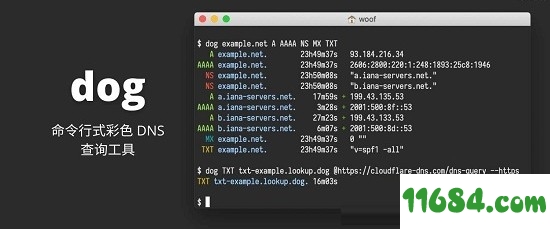 dog免费版下载-命令行式彩色DNS查询工具dog v0.1.0 最新免费版下载