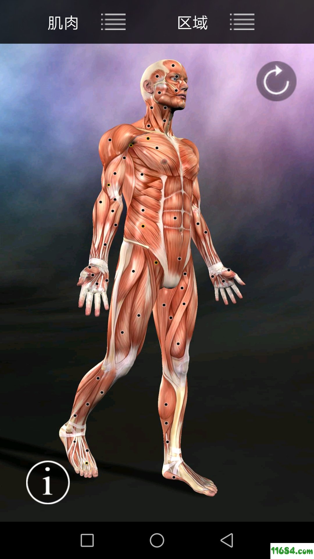肌肉触发点剖析内购版 v2.4.7 安卓版下载