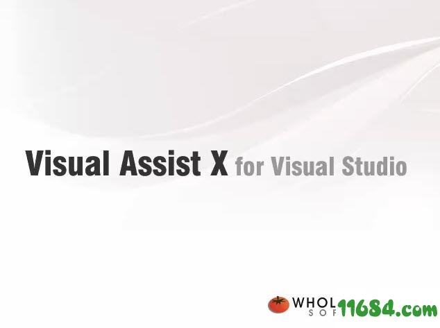 Visual Assist X 2010 v10.6.1819 完美破解版下载