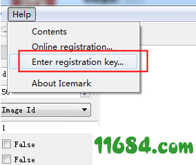 Icemark注册版下载-数字水印添加工具Icemark v1.41 最新免费版下载
