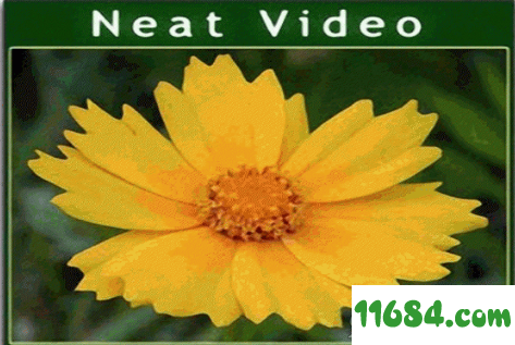 ABSoft Neat Video Pro破解版下载-AE视频降噪插件ABSoft Neat Video Pro v5.0.2 最新注册版下载