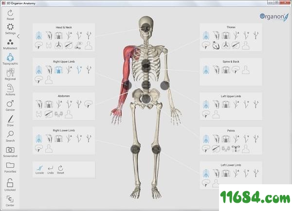 3dBody高精版下载-三维人体解剖软件3dBody v3.0.0 高精免费版下载