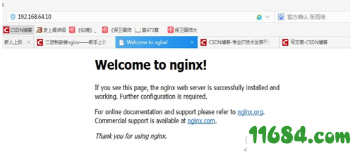 nginx二进制版下载-nginx二进制版 v1.17.7 最新版下载