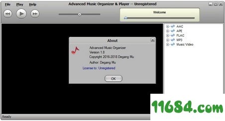 Advanced Music Organizer破解版下载-音频管理软件Advanced Music Organizer v1.8 最新免费版下载