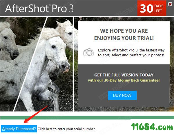 AfterShot Pro破解版下载-图像后期处理软件AfterShot Pro v3.6.0.380 破解版下载