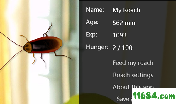 Virtual Cockroach破解版下载-桌面宠物软件Virtual Cockroach v1.9 绿色版下载