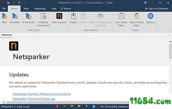 Netsparker Professional Edition破解版下载-web漏洞扫描工具Netsparker Professional Edition v5.8.1 绿色版下载